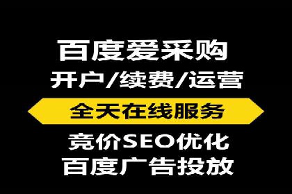 百度SEO推广案例：实战解析与优化建议